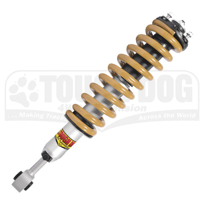 Strut Assemblies